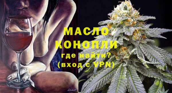 мет Алексин