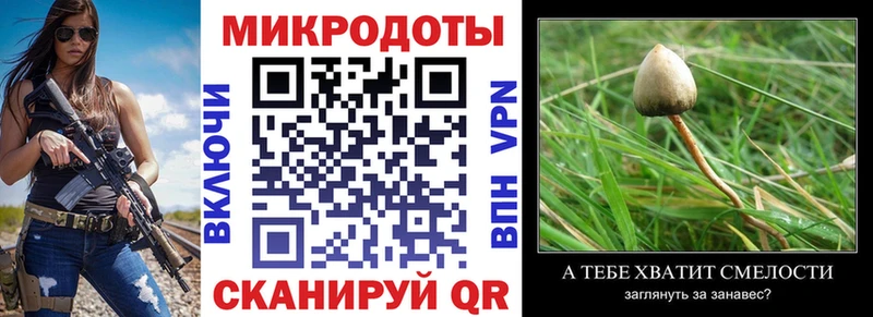 Псилоцибиновые грибы прущие грибы  нарко площадка Telegram  Мыски 