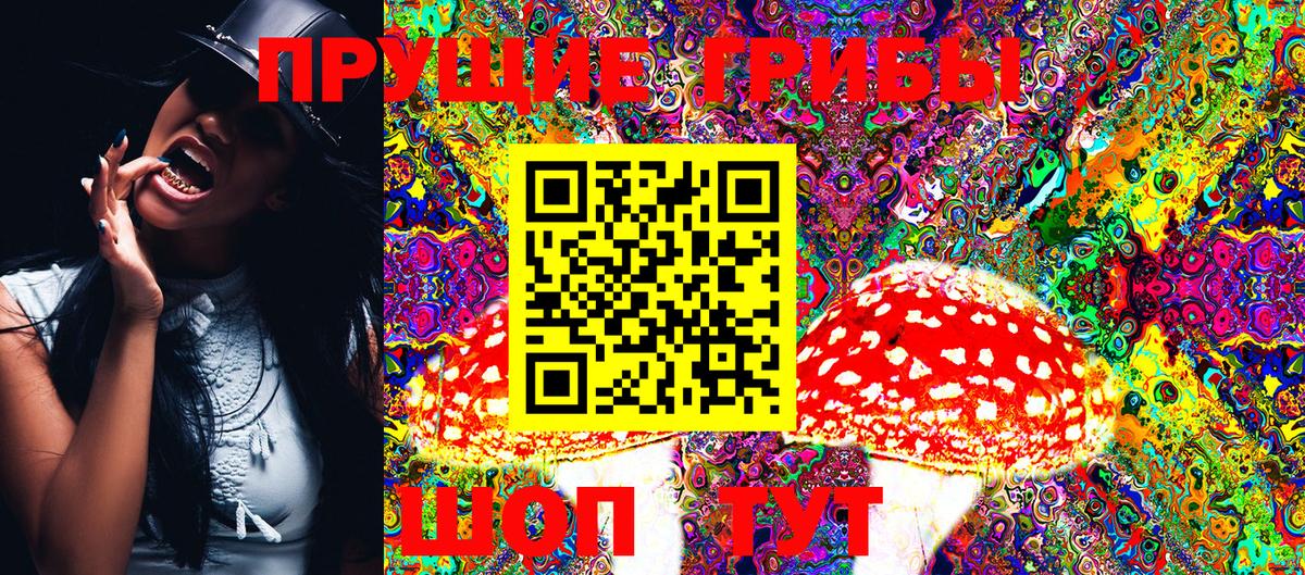 Галлюциногенные грибы Psilocybe Мыски